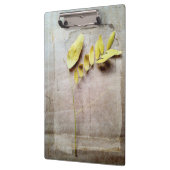 Herbarium V Klembord (Links)