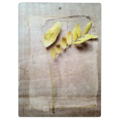 Herbarium V Klembord (Achterkant)