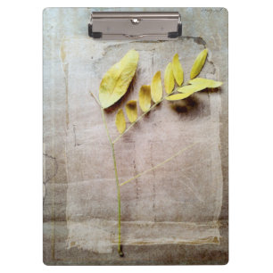 Herbarium V Klembord