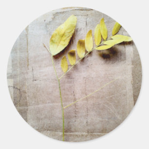 Herbarium V Ronde Sticker