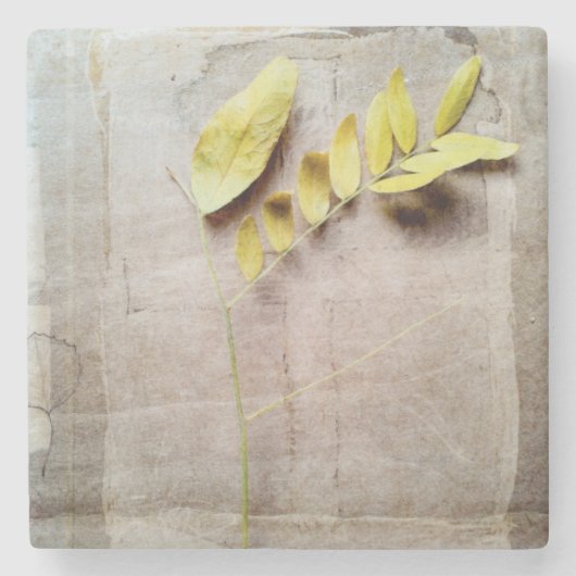 Herbarium V Stenen Onderzetter (Voorkant)