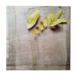 Herbarium V Tegeltje