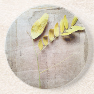 Herbarium V Zandsteen Onderzetter