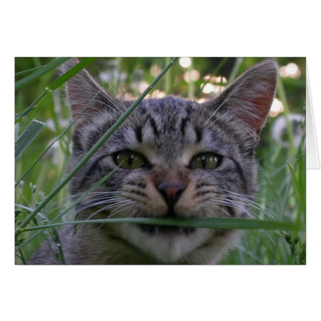 Herbe Bijou (Devant horizontal)