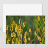 Herbe brillante - Invitation (Devant / Derrière)