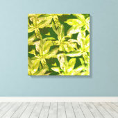 Herbe De Basil, Art De Cuisine, Toile Enveloppée (Insitu (Plancher de Bois))