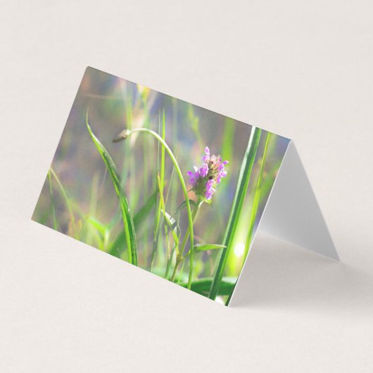 Herbe de champ sauvage - Carte pliée en fleur de v (Front)