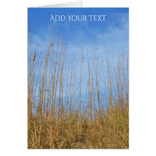 Herbe de plage par Shirley Taylor