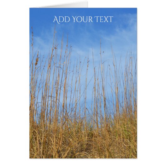 Herbe de plage par Shirley Taylor (Devant)