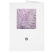 Herbe de queue de cheval/carte de tiges (Dos)