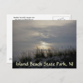 Herbe de Sunset Dune IBSP Carte postale (Devant / Derrière)