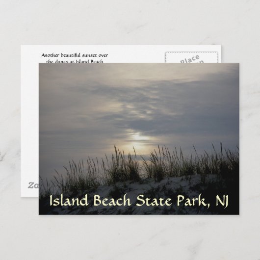 Herbe de Sunset Dune IBSP Carte postale (Devant / Derrière)