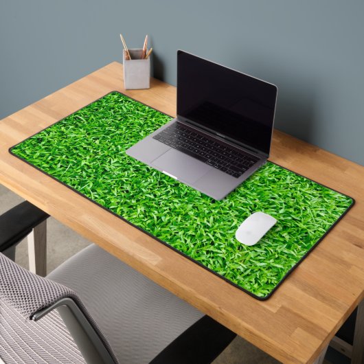 Herbe verte (Bureau 2)