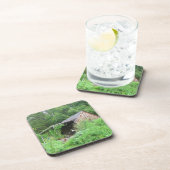 Herbery Shed Dessous de verre (Côté Droit)