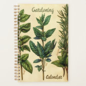 Herbes de cuisine Basilic Minze Romarin (Devant)