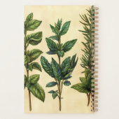 Herbes de cuisine Basilic Minze Romarin (Dos)