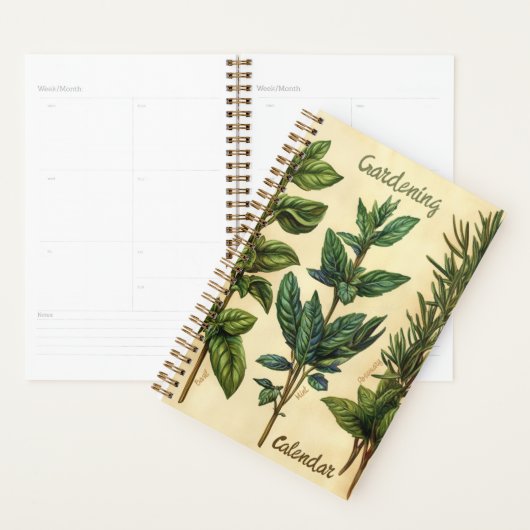 Herbes de cuisine Basilic Minze Romarin (Devant avec enveloppe)