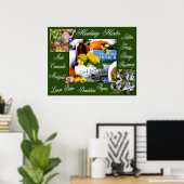HERBES DE GUÉRISON ~ Poster (Bureau à domicile)
