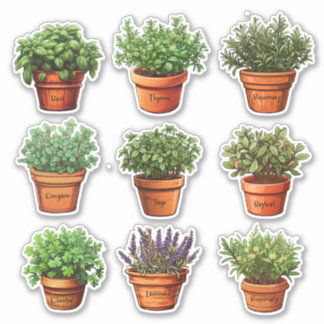 Herbes en Stickers Pots en Terracotta