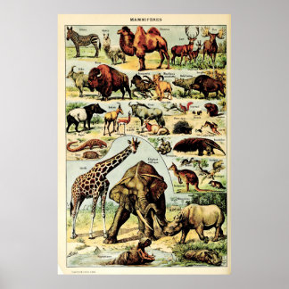 Herbouwde Adolphe Millot Natuur Wezens Zoogdieren Poster