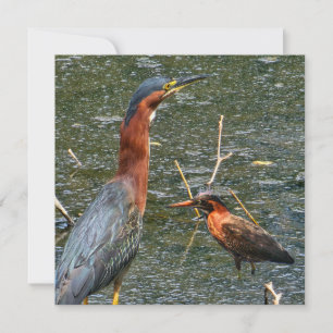 Herbruikbare Boodschappentas Groen Reiger Save The Date