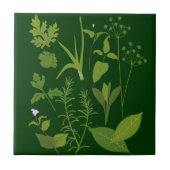 Herbs Kitchen Tile Tegeltje (Voorkant)