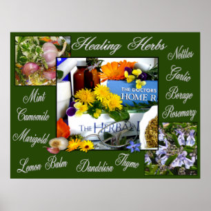 HERBS ~ POSTER