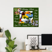 HERBS ~ POSTER (Thuiskantoor)