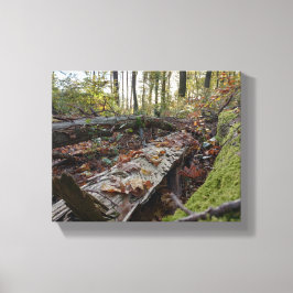 Herbst Canvas Afdruk