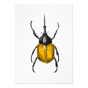 Hercules beetle foto afdruk