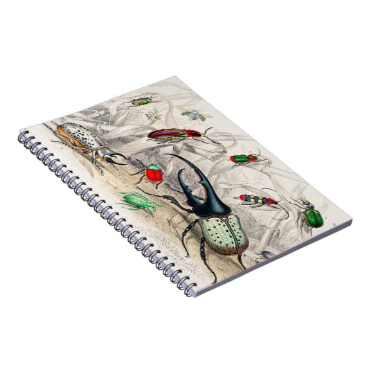 Hercules Beetle, Scarabaeus Tityus, gestreept klik Notitieboek (Rechterzijde)