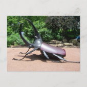 Hercules Beetle Sculptuur Briefkaart (Voorkant)