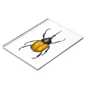 Hercules kever notitieboek (Linkerzijde)