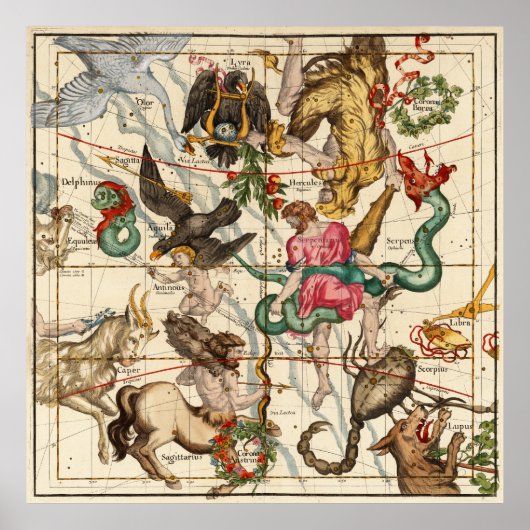 Hercules, Sagittarius, Delphinus en Scorpius Poster (Voorkant)