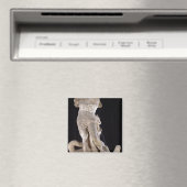 Hercules vechten tegen de Lernaean Hydra Magneet (Insitu (Vaatwasser))