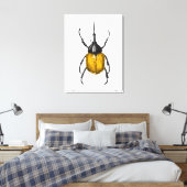 Herculeskever Canvas Afdruk (Insitu (Slaapkamer))