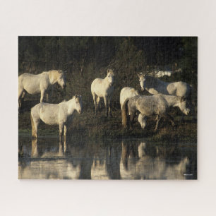 Herd Camargue Ponies in water Legpuzzel