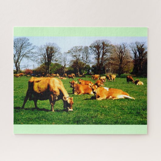 Herd of Jersey cows Legpuzzel (Horizontaal)