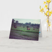 "Herd of Koeien" Kaart op de geboorte (Gele Bloem)