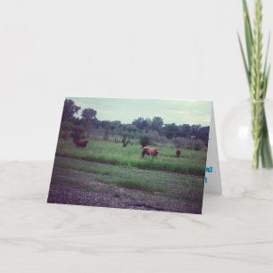 "Herd of Koeien" Kaart op de geboorte