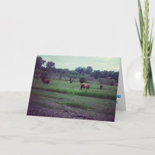 "Herd of Koeien" Kaart op de geboorte (Voorkant)
