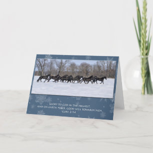 Herd van Friese Mares Kerst Kaart