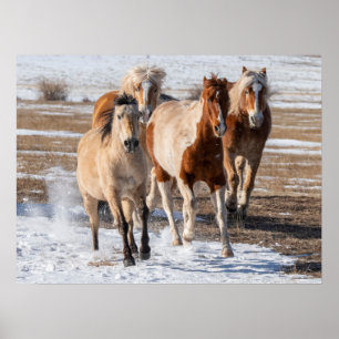 Herd van gemengde fokpaarden die in de sneeuw lope poster
