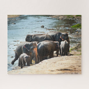 Herd van olifanten met Baby in Water Legpuzzel