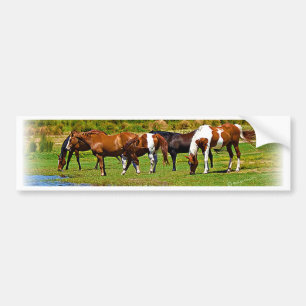 Herd van paarden bumpersticker