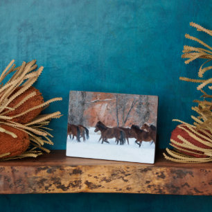 Herd van paarden die op sneeuw lopen fotoplaat