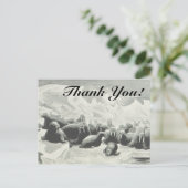 Herd van Walrussen "Dank je wel!" Briefkaart (Staand voorkant)