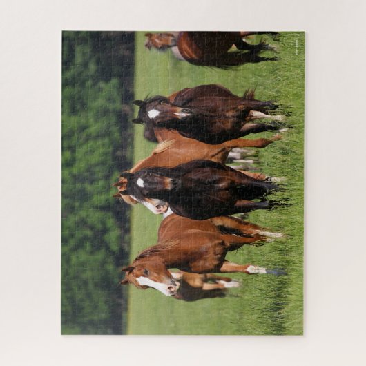 Herd van Welsh Ponies in het veld Legpuzzel (Verticaal)