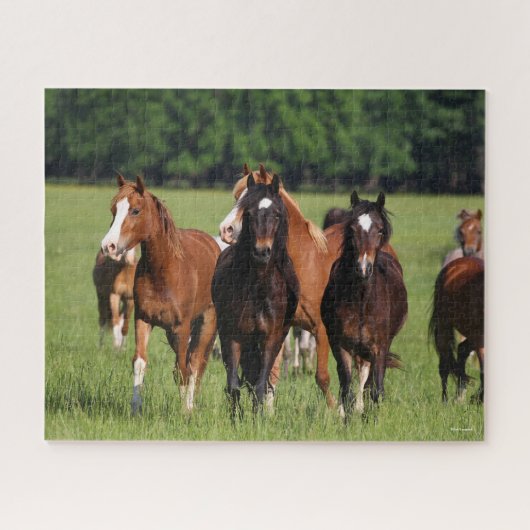Herd van Welsh Ponies in het veld Legpuzzel (Horizontaal)