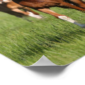 Herd van Welsh Ponies in het veld Poster (Hoek)